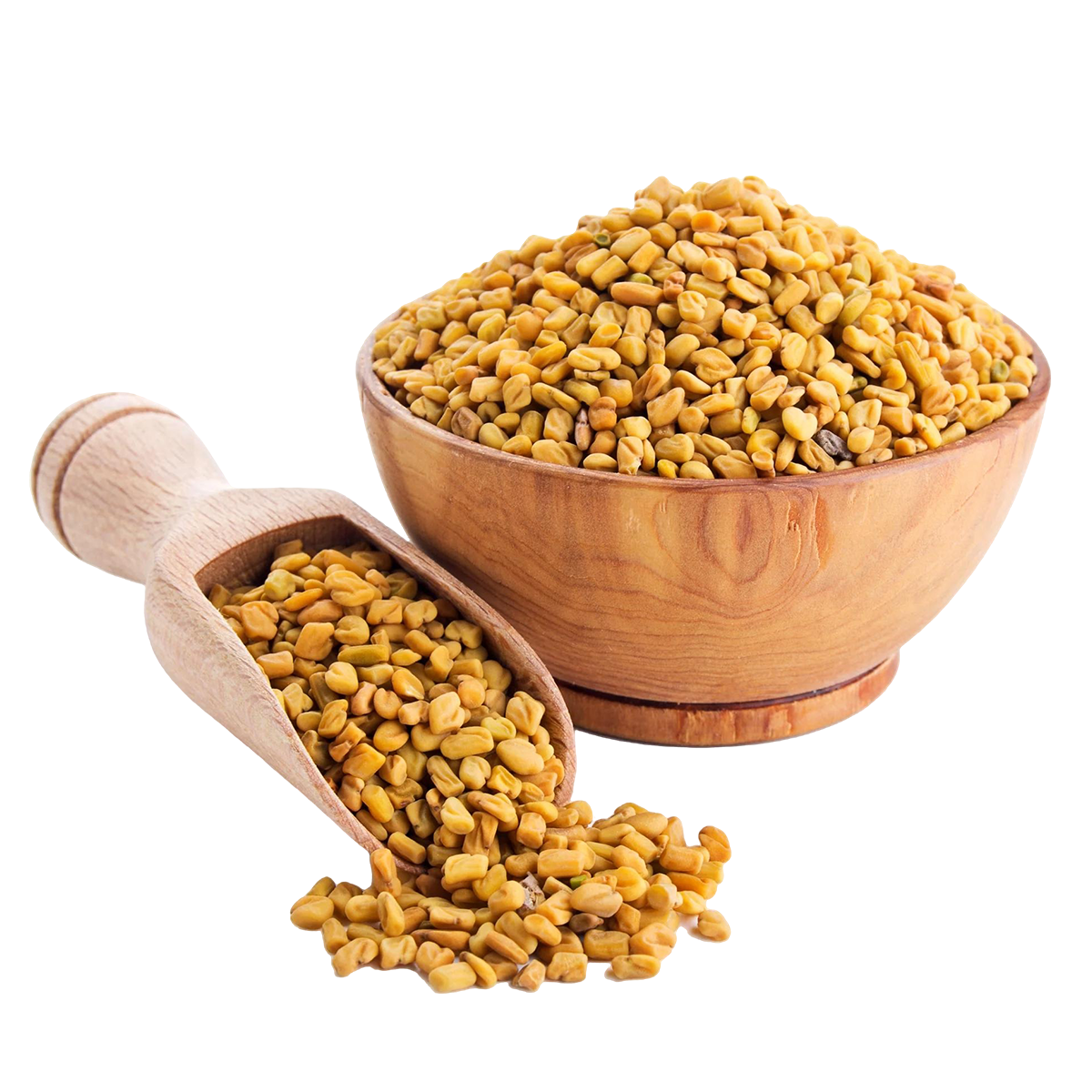 Fenugreek Seed